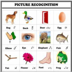 LND PICTURE RECOGNIZATION