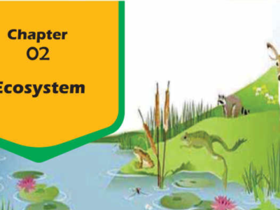 Grade 4 General Science Chapter 2