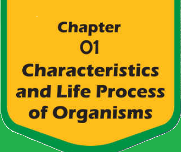 Solved Exercise Grade 4 General Science - Chapter 1